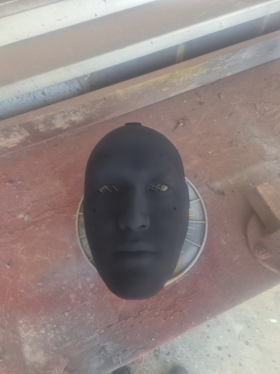 20250802_164917.thumb.jpg.397f0e374267fe4c9ce7d409246fdf6f.jpg